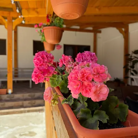 Casa Selina Pensiune
